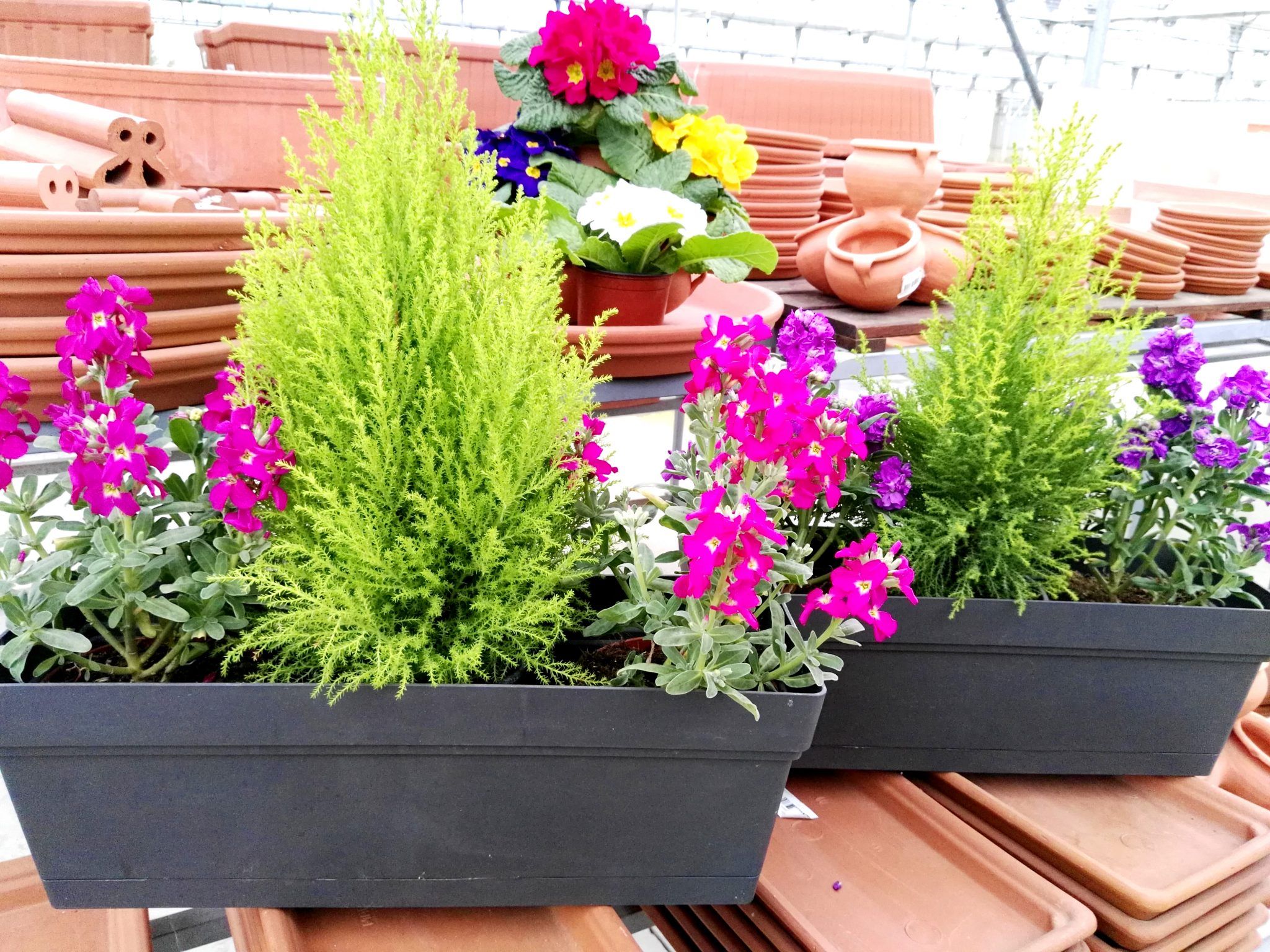 Garden - Centro de Jardinería | Viveros Poza